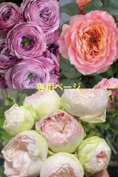 Tran Linh Huy様専用ページのサムネイル