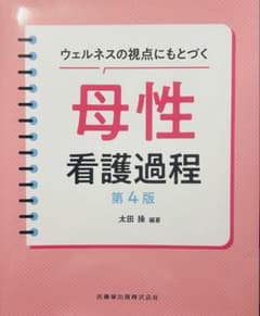 ウェルネスの視点にもとづく母性看護過程のサムネイル