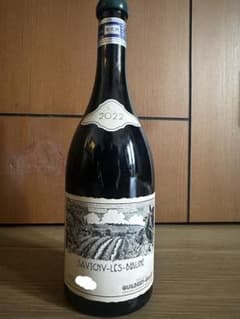 Guilbert-Gillet Savigny-les-Beaune 2022のサムネイル