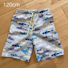 Swim Zip 水着 男の子　120cmのサムネイル