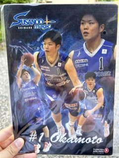岡本飛竜　下敷きのサムネイル