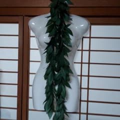 フラダンス　タヒチアンダンス　マイレレイのサムネイル