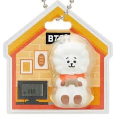 BT21 패키지 매력 & 초코보로 RJ JIN BTS