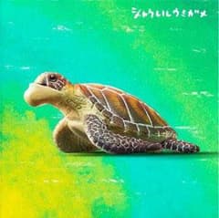 シャクレルプラネット4 うみがめのサムネイル