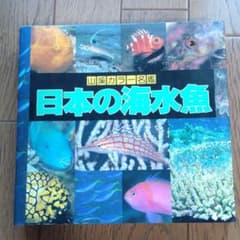 売約済のサムネイル