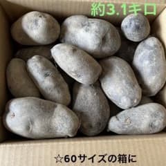 ☆令和7度☆新じゃが☆栄養たっぷり「シャドークイーン」じゃがいものサムネイル