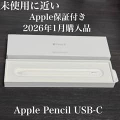 未使用に近い 2026年1月購入品 付属品 Apple Pencil USB-C - メルカリ
