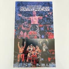 デビッド・フィンレー 特製フォトブック 新日本プロレス NJC 優勝記念 デビッド・フィンレー 特製フォトブック