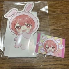 カラフルピーチ からぴち 東武動物公園 ミニパネル のあ クリア賞 参加