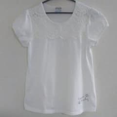 レース付 白Ｔシャツのサムネイル