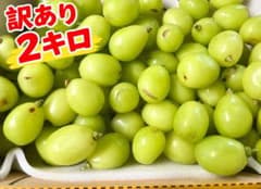 訳ありシャインマスカット 2キロのサムネイル