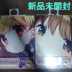 (新品未開封＆オマケ付き)東方Project 描き下ろしマルチクロスvol.2のサムネイル