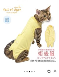 フルオブビガー 猫術後服のサムネイル