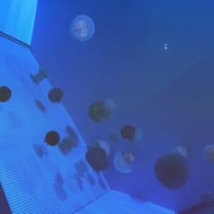 佐藤様専用のサムネイル