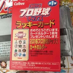 プロ野球チップス2016第1弾 ラッキーカードのサムネイル