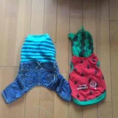 犬の洋服のサムネイル