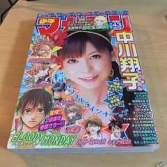 週刊少年マガジン 中川翔子水着グラビア掲載 - メルカリ