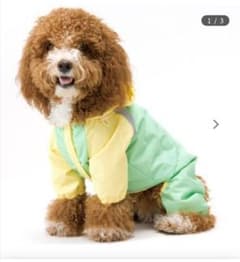 【お値下げ可】★犬用　5号　レインウェア　雨具★カッパのサムネイル