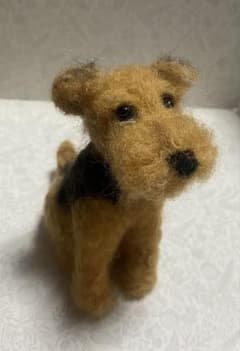 ‪ஐ‬羊毛フェルト੯•`໒ウェルシュテリア 羊毛フェルト＊ウェルシュテリア＊エアデールテリア＊ハンドメイド