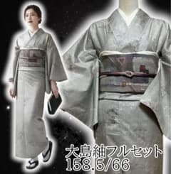 未使用近い 美品 袷 正絹 白紬 大島紬 白大島紬 小紋 フルセット