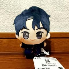 BTS TinyTAN DNA 치비구루미 JIN 진