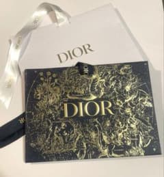 CHRISTIAN DIOR ショッパー 2枚セット - メルカリ