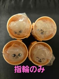 SKZOO ぷくっとバースデークリアリング PuppyM スンミン コンプ 4種のサムネイル