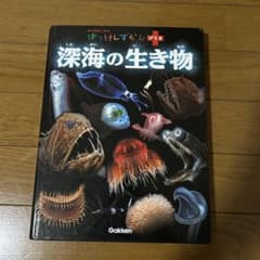 はっけんずかんプラス 深海の生き物 学研 図鑑のサムネイル