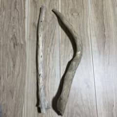 流木 2本セット 自然素材 DIYのサムネイル