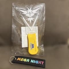 포켓몬 GO 메가 신카 나이트 한정 펜라이트