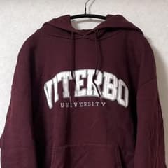 champion VITERBO カレッジ　パーカー　フーディー　古着　Lサイズのサムネイル