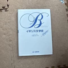 イギリス文学史 川崎寿彦 著 成美堂のサムネイル
