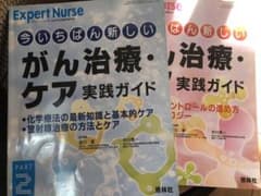 エキスパートナース増刊号のサムネイル