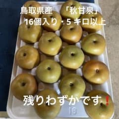 O . 鳥取県産　秋甘泉　農家直送 　　　5 キロ以上のサムネイル