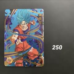 손오공 PDSS-01 [765]