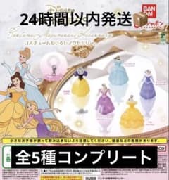 ディズニープリンセス めじるしアクセサリー プリンセス コンプリート