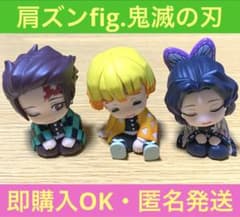 어깨 준 Fig