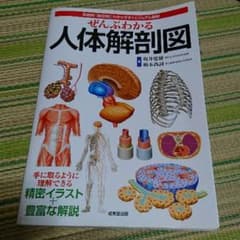 人体解剖図のサムネイル