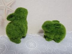 芝生のようなウサギのサムネイル
