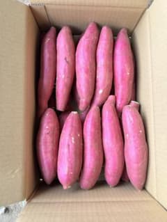 あまはづき さつまいも A品 Mサイズ 5kg - メルカリ