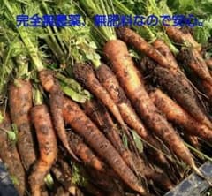 自然栽培　人参　10キロ　無農薬　無肥料のサムネイル