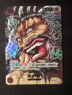 カイドウ パラレル 描き下ろしパラレル OP17-062のサムネイル