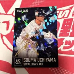 東京ヤクルトスワローズ 内山壮真 金箔サイン入りプロ野球チップス