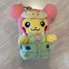 ピカチュウ ヤドキング　ぬいぐるみキーホルダーのサムネイル
