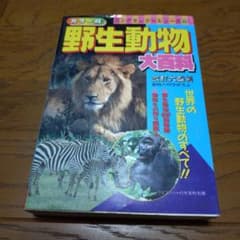 野生動物大百科 ケイブンシャ 1989年のサムネイル