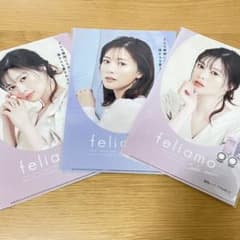 白石麻衣 クリアファイルのサムネイル