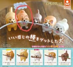 いい感じの棒をゲットした犬 柴犬 ガチャのサムネイル