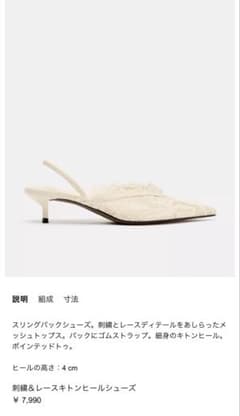 ZARA刺繍＆レースキトンヒールシューズのサムネイル