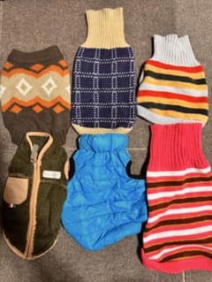 犬服 まとめ売り6点セット　チワワ・小型犬のサムネイル
