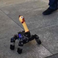 たつ様専用のサムネイル